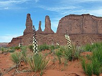 Monument valley (19).JPG